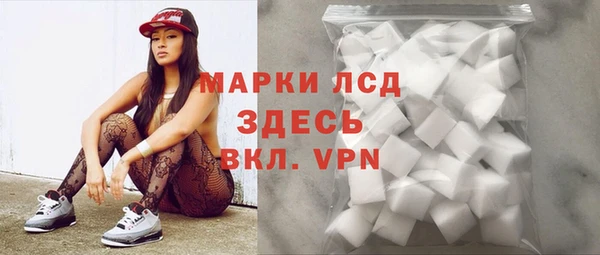 ГАЛЛЮЦИНОГЕННЫЕ ГРИБЫ Магас