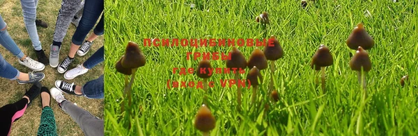 MDMA Майский