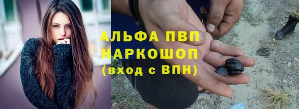 стафф Магадан